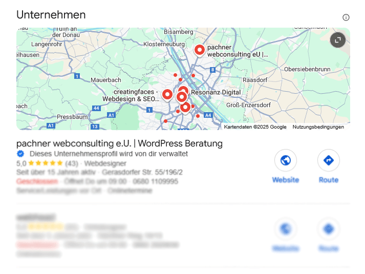 Screenshot von Local Rankings in Österreich für WordPress Agentur Wien